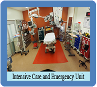 Intensive Care and Emergency Unit 